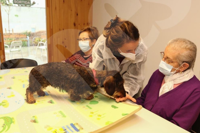 Teràpia amb gossos al Centre d'Alzheimer de Reus