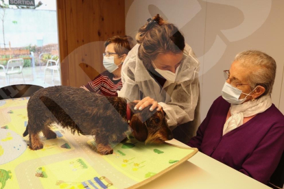 Teràpia amb gossos al Centre d'Alzheimer de Reus