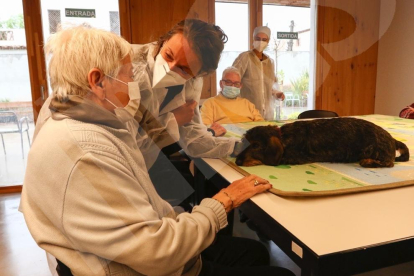 Teràpia amb gossos al Centre d'Alzheimer de Reus