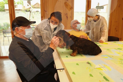 Teràpia amb gossos al Centre d'Alzheimer de Reus