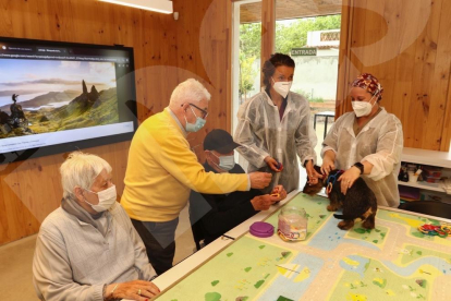 Teràpia amb gossos al Centre d'Alzheimer de Reus