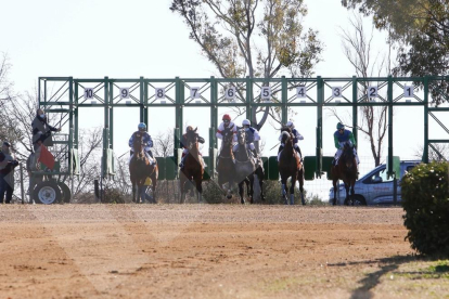 Curses de cavall del Cós de Sant Antoni de Vila-seca de 2021, es va celebrar sense públic i van participar fins a 15 cavalls.