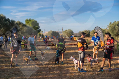 Es van superar els 300 assistents a la posterior caminada solidària de la Fundació d'Animals de Companyia del Camp de Tarragona