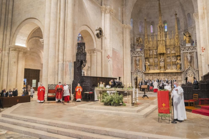 Bendición de palmas en Tarragona