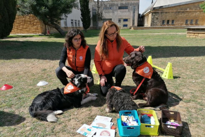 Terapia con perros en el Barnahus