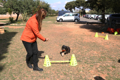 Terapia con perros en el Barnahus