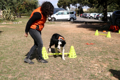 Terapia con perros en el Barnahus