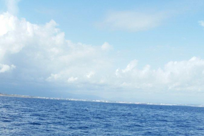 Salvament Marítim recupera un cetasi de 6 metres en descomposició al Cap Salou