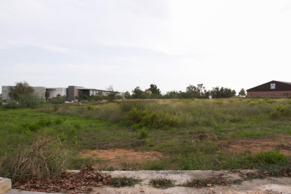 Una imatge d'arxiu dels darrers terrenys municipals en canviar de mans, a la zona de La Roureda.