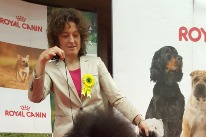 Un gos de l'Hospitalet guanya el Campionat de Catalunya de Bellesa