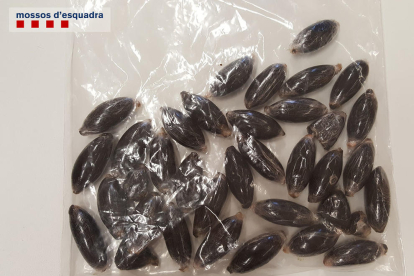 Las piezas de hachís intervenidas por los Mossos D'Esquadra y la Policía Local de Vila-seca, en el interior de una bolsa|bolso.