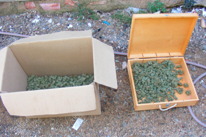 Ovillos de marihuana encontrados en la masía de Riudecanyes.