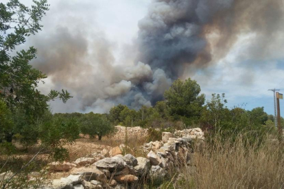 Imatge de l'incendi des d'uns camps de cultiu propers