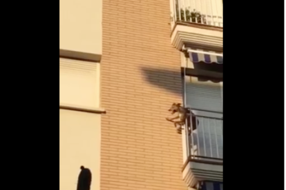 Captura del vídeo gravado por la policía local.