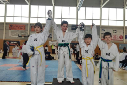 Coma-ruga acull el 1r Trofeu Vila de Bellvei de Taekwondo