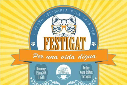 Los gatos, protagonistas en Tarragona con la primera fiesta solidaria FestiGat