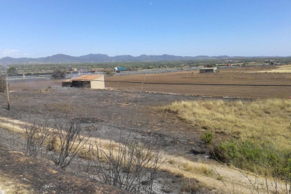 Declarats tres incendis de vegetació al Pla de Santa Maria, Reus i Torredembarra
