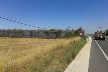 La demarcació de Tarragona està en un elevat risc d'incendis forestals