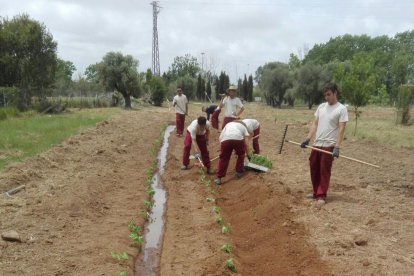 Once jóvenes se especializan en agricultura ecológica gracias a la Casa d'Oficis