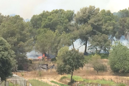 Imagen del fuego que afecta en la zona del Mas dels Frares