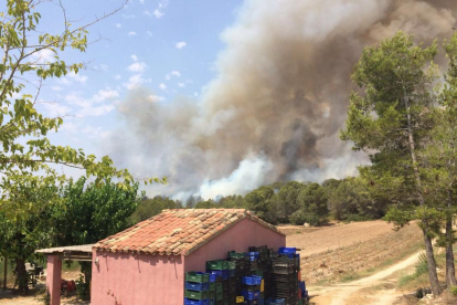 Imagen del fuego que afecta en la zona del Mas dels Frares