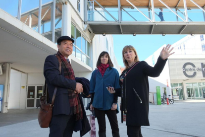 La URV acollirà els exàmens oficials de xinès a Tarragona