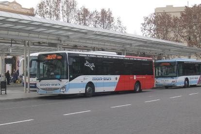 Vendrell y Vilanova, conectados por un bus nocturno al verano