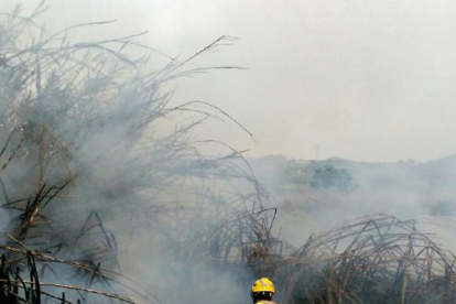 Imatge d'un bomber duent a terme les tasques d'extinció en l'incendi de Vilabella.