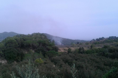 Petit incendi forestal entre les Borges del Camp i Alforja