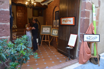 Els veïns del poble obren els portals de les seves cases per acollir les exposicions artístiques.