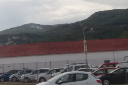 Un pequeño incendio forestal quema unos 30 metros cuadrados en Alcover