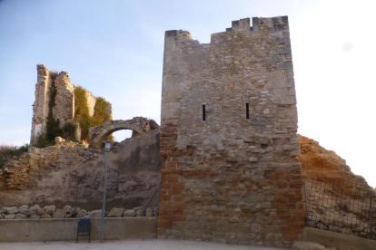 Imatge del Castell d'Els Garidells.