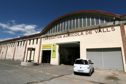 La ruta está basada en actividades relacionadas con el aceite producido a la Cooperativa Agrícola de Valls.