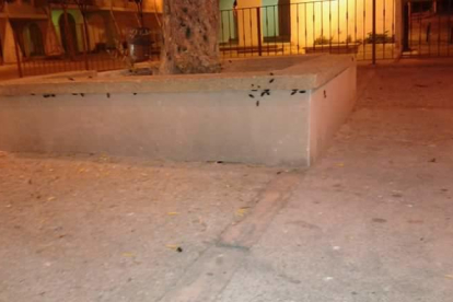 Los vecinos de las '600 viviendas' de Constantí denuncian que hay plaga de cucarachas