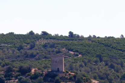Pla general de la torre de Font de Quinto des del sostre de la torre de la Carrova.