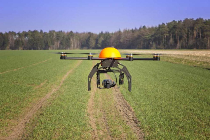 Els drons permeten visualitzar, a través d'imatges, les diferències en l'aspecte del cultiu.