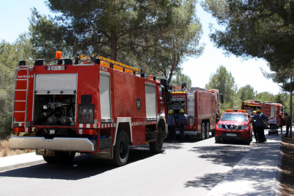 Imagen de archivo de varias dotaciones de los bomberos.