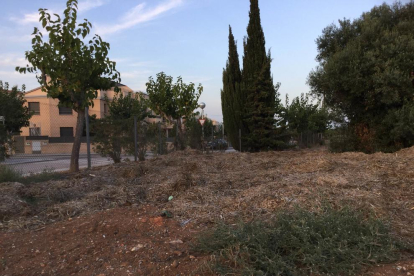 El grup polític denuncia brutícia i restes de poda d'arbustos urbans a