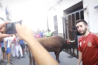 Captura del vídeo donde se pueden ver unos jóvenes haciéndose fotografías al lado del animal.