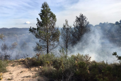 El incendio de Rasquera ha quemado 2.250 metros cuadrados de vegetación agrícola.