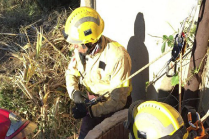 Tres dotaciones de bomberos han trabajado en el rescate del perro.