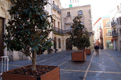 Pla general de la plaça Vella del Vendrell, amb l'ajuntament al fons, en el dia de col·locació dels arbres amb torretes mòbils.
