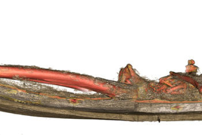 Secció lateral segons la tomografia computada de les restes del rei Pere el Gran dins del sepulcre.