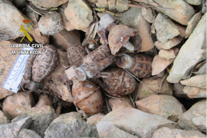 Les granades de mà van ser trobades a la parcel·la d'una veïna de Tivissa.