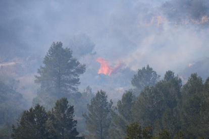 Flames actives a la zona de l'incendi al barranc de Sant Antoni de Roquetes.