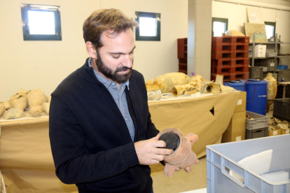 El director del CASC, l'arqueòleg Gustau Vivar, ensenyant un coll d'àmfora amb el seu tap a la seu de Girona. Imatge del 28 de desembre del 2016 (Horitzontal)