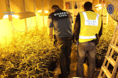 Los agentes también han confiscado 200 gramos de hachís, 100 gramos de marihuana y varias herramientas para el cultivo.
