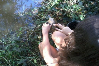 El projecte 'la tortuga de rierol viu al Gaià' celebra 10 anys