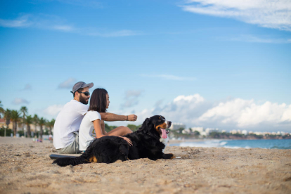 Los propietarios de animales domésticos ya podrán disfrutar de la playa acompañados con sus mascotas en época turística.