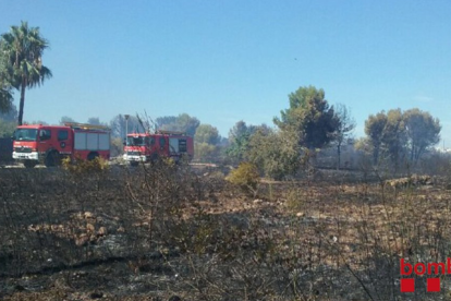 El foc ha cremat quatre hectàrees de vegetació periurbana.